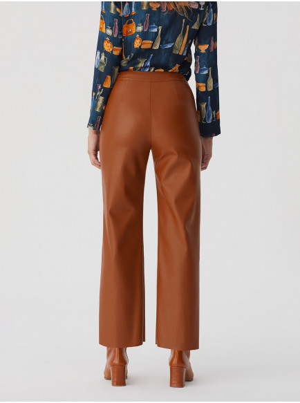 Pants Shiny Brown