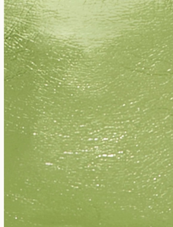 Little Pack Shine Sparkle Green